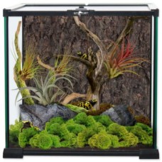 Terrario de cristal Repti Planet 30x30x30 cm